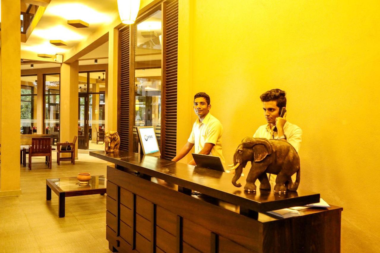 Hotel Oak Ray Wild Yala Tissamaharama Exterior foto